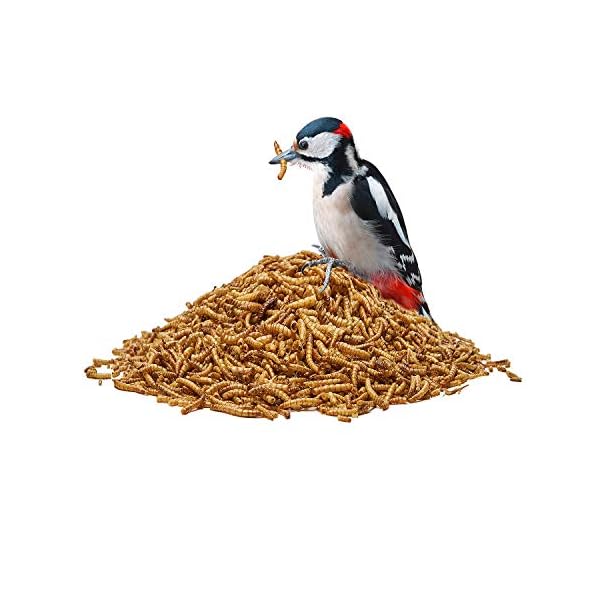 Paul´s Mühle Mehlwürmer getrocknet, Proteinreiche Würmer für Igel, Hamster, Teichfische und Vögel – Bild 4