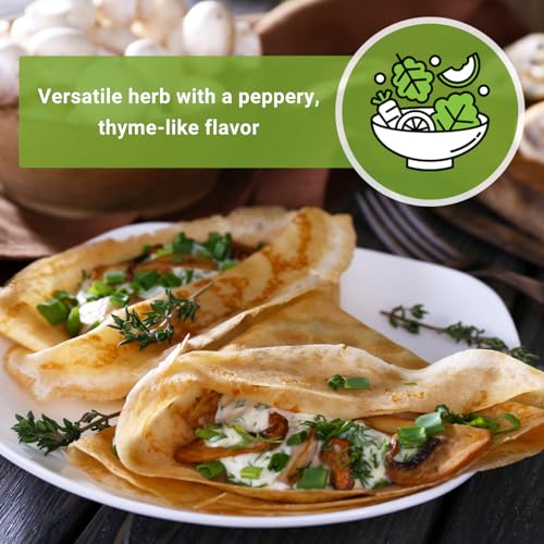 Sow Right Seeds - Summer Savory Seed for Planting - Culinary Herb to Plant in Your Home Herb Garden - Indoors or Outdoors - Peppery Herbal Seasoning - Non-GMO Heirloom Seeds - A Great Gardening Gift - Image 6