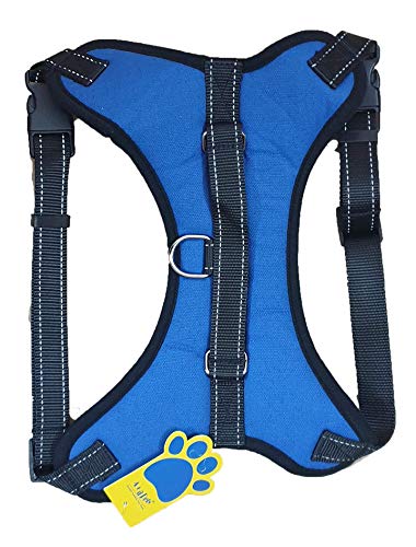 A+a Pets Heavy Duty Harness with Padding for Pets (Large, Blue), Blue, Large, 60 g (B08R5CZX9V) Amazon Price History, Amazon Price Tracker