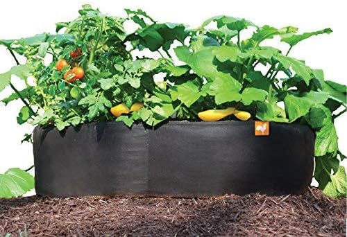 (m) - LLC 3x3 MED SQ GDN Bed