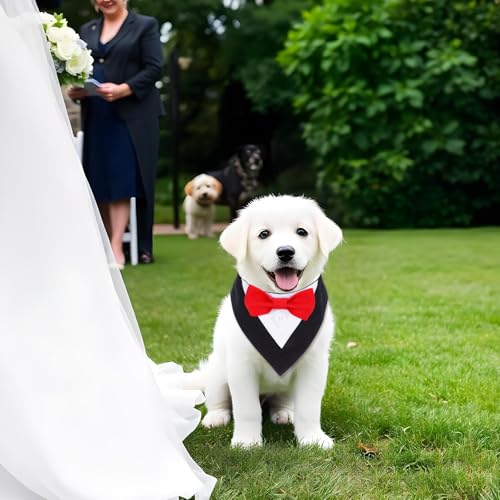 Molain Disfraz Formal para Perros Pequeños con Pajarita miniatura 4
