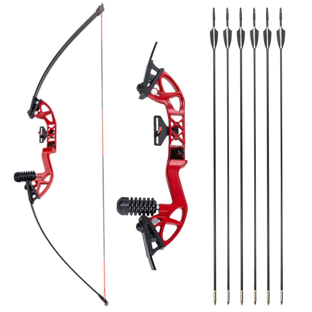 Tiro con L'Arco Takedown Arco Ricurvo e frecce Set 30 libbre 40 libbre Arco da Caccia Arco Dritto Longbow Allenamento all'aperto Tiro al Bersaglio Mano Destra