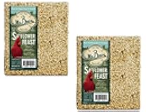 Mr. Bird 2-Pack Safflower Feast Large Wild Bird Seed Cake 1 lb. 15 oz.