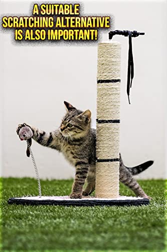 Cat & Kitten No Scratch Spray Deterrent Training Spray - Anti Scratch Furniture Protector - Nail Nanny 8Oz #TOP5