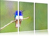 100% Made in Germany petite NewArt aviaire 3 PC image Canvas image colorée 120x80 sur toile, énorme XXL Photos complètement encadrée avec civière, art impression sur murale avec cadre, moins cher que la peinture ou la peinture à l\'huile, aucune affiche ou un poster