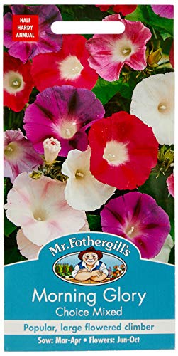 Mr. Fothergill's Morning Glory Choice Mixed Flower Seeds