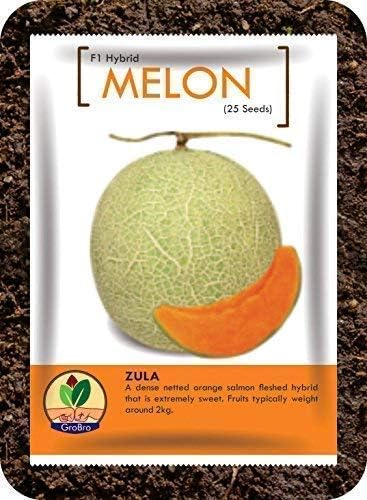 GroBro Melon Zula - Very Sweet Tasting Netted Melon - F1 Hybrid Seed