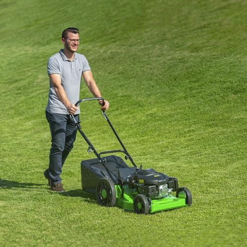 Cortador Grama a Gasolina Com Recolhedor 6,5CV 4 Tempos LF650RM Trapp