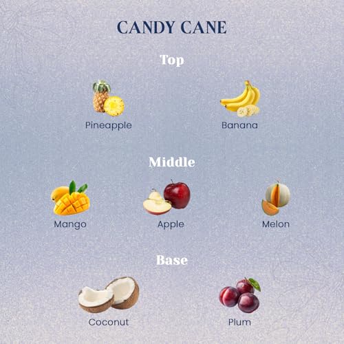 MSENSE-Christmas-Holiday-Candle-Candy-Cane-Scent-74-oz-Soy-Wax-Ideal-Winter-Home-Decor-Gift-for-Women-and-Girls MSENSE Christmas Holiday Candle Candy Cane Scent 74 oz Soy Wax Ideal Winter Home Decor Gift for Women and Girls