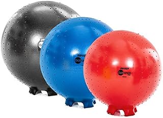 Gopher BALLance Stability Ball Chair (55cm, Teen)