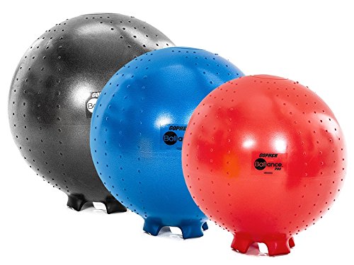 Gopher BALLance Stability Ball Chair (55cm, Teen)