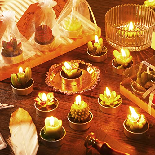 Treela 36 Pcs Succulent Cactus Candles Cactus Tealight Candles With 36 Organza Gift Bags And 36 Thank You Card Tag Wedding Birthday Fiesta Celebration Party Favors For Guests Bridal Shower Candles #TOP5