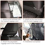 Hundenetz Auto Rückbank, 115 x 62 cm Auto Hundenetz Sicherheitsnetz mit verstellbarem Seil und Haken, Trennnetz zwischen Haustier & Autofahrer, Hunde Netz für Auto, für Kombis, Lastwagen, SUV,Schwarz