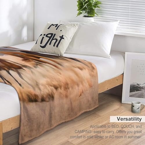 Couverture cheval flannel douce, une idée de cadeau parfaite pour vos proches - 7