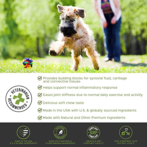 Pethonesty Puremobility Glucosamine For Dogs - Premium Dog Joint Supplement Support With Glucosamine, Green-Lipped Mussel, Collagen & Turmeric - Advanced Hip & Joint Chews & Pet Joint Support - 60Ct #TOP3