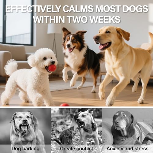 Image of Dog Calming Pheromones Diffuser 6 in 1 Appeasing Relaxing Diffuser with Timing Function Pet Kit (3 Plug in +3 Refill 48ml) for Anxiety Relief Reduce Aggression Barking Fighting Stress (Tasteless)
