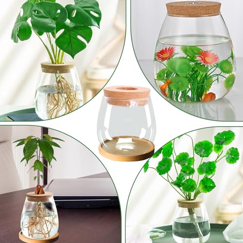 2pcs Hydroponic Plant Propagation Station - Image 2
