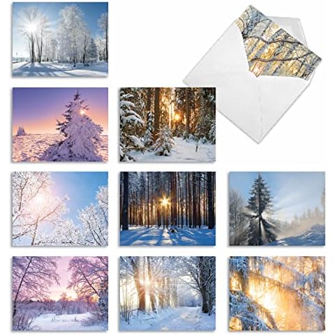 The Best Card Company Variety Pack of 10 Christmas Greeting Cards with Envelopes, Romantic Nature Holiday Assortment for Men and Women (10 Designs, 1 Each) - Christmas Sunrise M6655XSB Cover