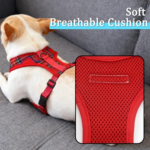 Hundegeschirr Kleine Hunde,Sicherheitsgeschirr Brustgeschirr Welpengeschirr Hundeleine Zuggeschirr Hundeweste Antiziehgeschirr Hundegurt Panikgeschirr Mitwachsend Gepolstert Kleine Hunde (Rot, S)