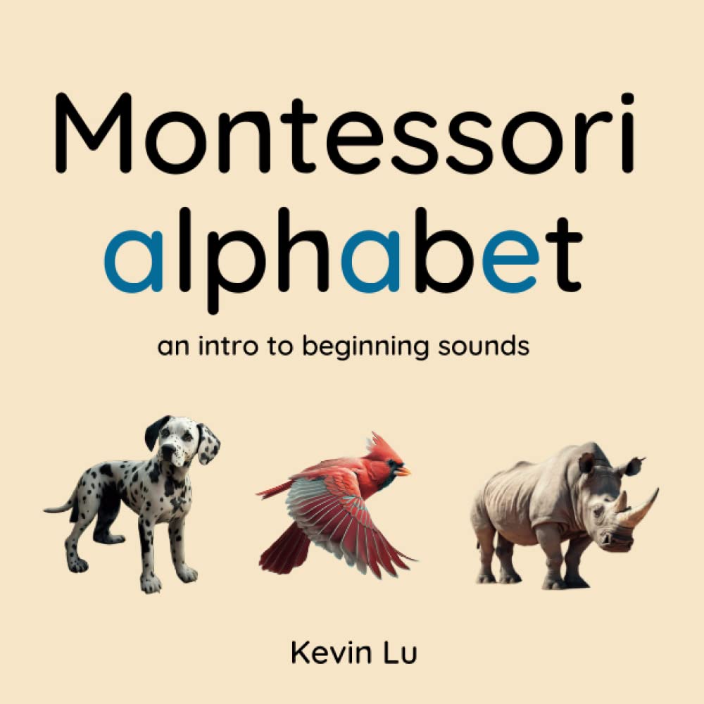 Montessori alphabet an intro to beginning sounds