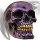 mtb more energy Deko Totenkopf ’’Gold Teeth Buddy’’ - Blau - Violett - Höhe ca 12 cm - Totenschädel Figur Dekoration