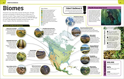 Earth Knowledge Genius!: A Quiz Encyclopedia to Boost Your Brain - Image 7