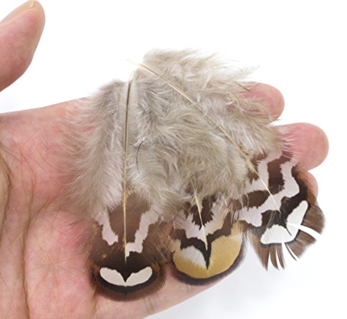 All In One Natural Feather For Diy Craft (Brown Chicken Feathers) #TOP2