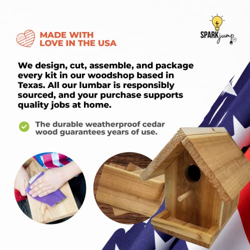 Sparkjump Jr Birdhouse Kit | Cedar Wood For Outdoors | With Paint Set | Bird Feeder | Diy Crafts Woodworking Building Gardening Project For Kids, Adults, Family #TOP4