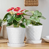 Set De 2 Pots De Fleurs En Céramique 12 Cm 15 Cm Avec Trous De Drainage Et Soucoupes Bleu