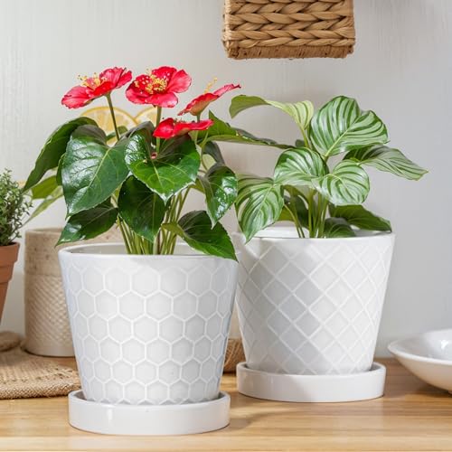 EFISPSS Ceramic Plant Pots, 6 Inch Pots for Indoor Plants,