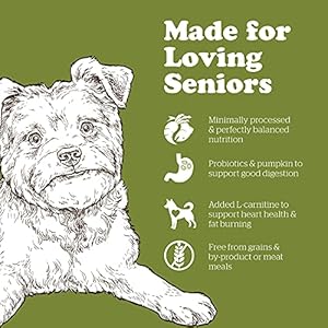 Now contemporary dry canine meals for small breed seniors turkey salmon and duck recipe 22 lbs  grain free senior canine meals made with actual meat and fish for small and mini breeds   cucciolini doodles