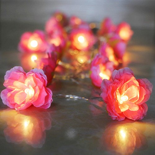 Sconosciuto 20 LED-Blume Pink Laternen Dekoration Weihnachten Party Hochzeit Haus