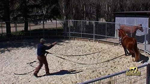 Monty Roberts Official Set of Two 30ft Long Lines - Lightweight Nylon with Cotton Core, Brass Snaps, Easy on Hands, Designed for Ground Training, Promotes Balance and Natural Movement in Horses!