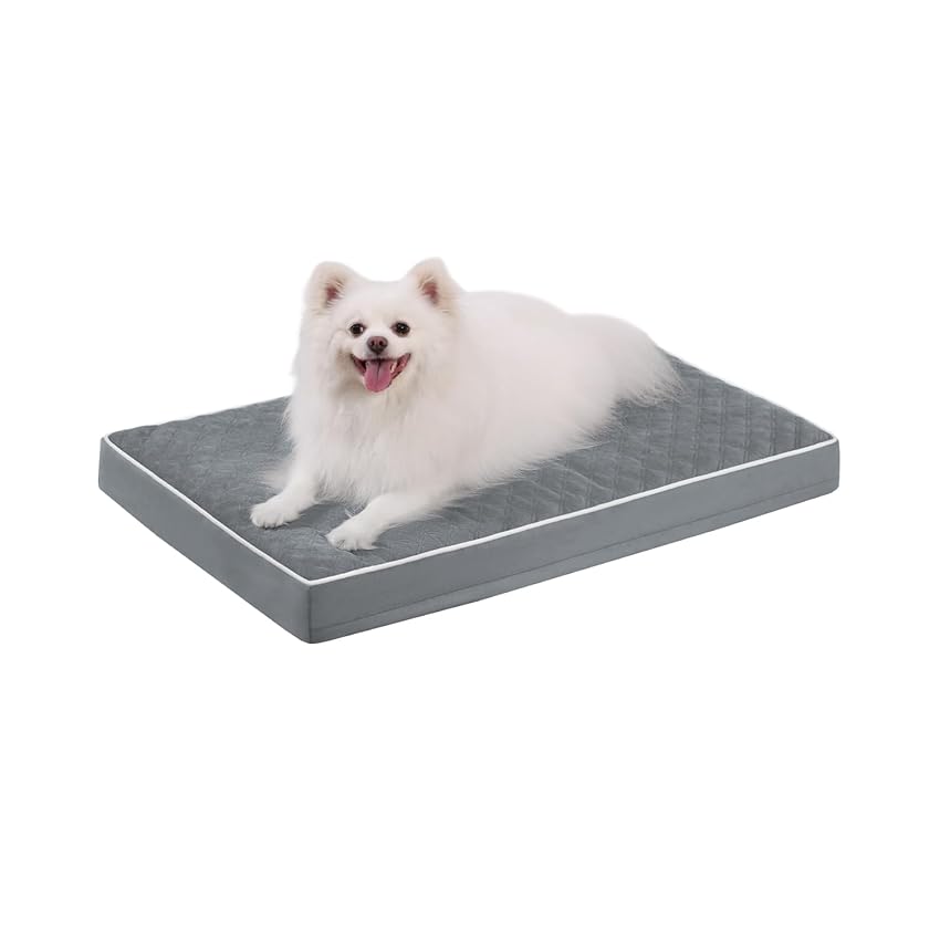 KSIIA Cuccia Cane Interno Piccolo Grande, 73x45x7cm, Cuccia per Cani Ortopedico, Letto per Cani Sfoderabile e Lavabile, Cuscino Cane Impermeabile, Base Antiscivolo, Grigio scuro