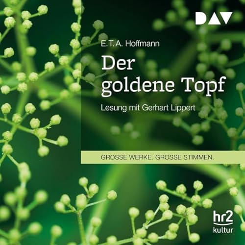 Der goldene Topf Audiolivro Por E. T. A. Hoffmann capa