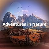 Jungle Sound Productions