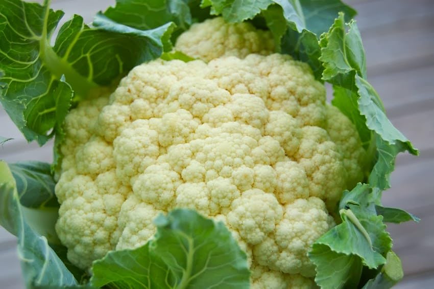 F1 Hybrid Pusa Deepali Cauliflower Seeds For Planting-[200 Seeds]-image-46