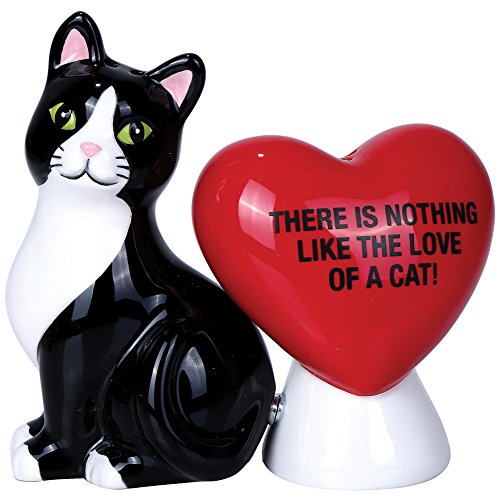 Atlantic Collectibles Valentine Cat With Heart Salt & Pepper Shakers The Love of A Cat Ceramic Magne - //coolthings.us