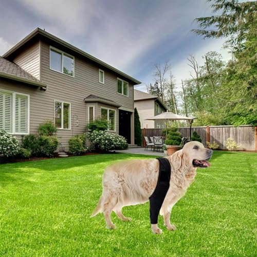 SHENGYIG XL Leckschutz für Hunde-Verstellbare Hundebandage Hinterbein (Schwarz)-Kniebandage für Hunde mit Beinschutz-Unterstützt Vorde-& Hinterbeine-Ideal bei Inkontinenz, Wunden & Gelenkproblemen