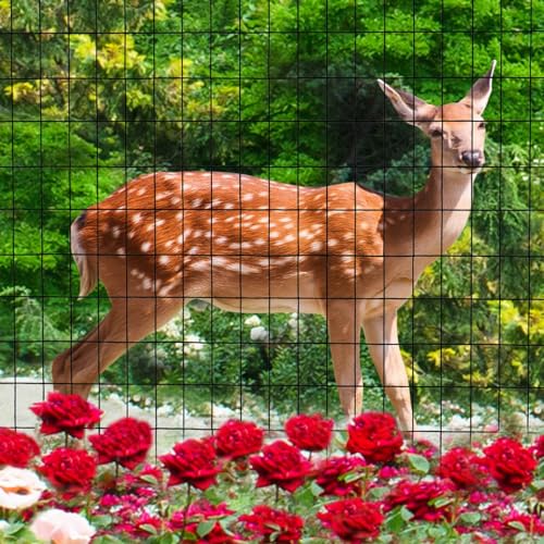 FOREHOGAR Black PVC Coated Welded Wire Fence 48 Inch x 25 Foot, 2 Inch x 3 Inch 16GA, Garden Border Fencing Roll Vinyl Coating Metal Wire Mesh for Yard Vegetable Plant Protection Poultry Netting by FOREHOGAR - Image 6