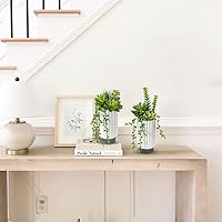 Vista 4 de Hollyone Juego de 2 plantas suculentas artificiales de 9 pulgadas, plantas suculentas falsas en maceta de cerámica, plantas suculentas