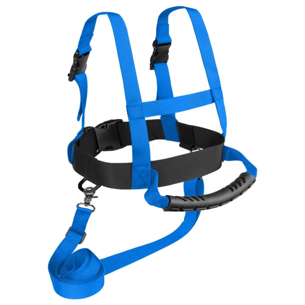 Ski with Detachable Leash and Grip Handle, Blue