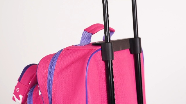 Amazon.com | Lillian Vernon Personalized Rolling Luggage for Kids