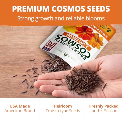 Image of HOME GROWN Cosmos Bright Lights Mix Seeds - 2500 Cosmos Sulphureus for Planting Spring 2026, Refined Wildflower Herb Seed Mix, Easy Grow Outdoor Flower Seeds for Gardens