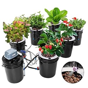 DNYSYSJ DWC Hydroponics Growing System, Multi Barrel Hydroponic Machine, 5 Gallon 6 Buckets Hydroponics Growing System…