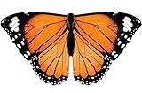 iROLEWIN Toddler-Kids Butterfly-Wings for Girls Butterfly-Costume Children Bug Dress-Up Wings as Play Toys Boys Party Favors