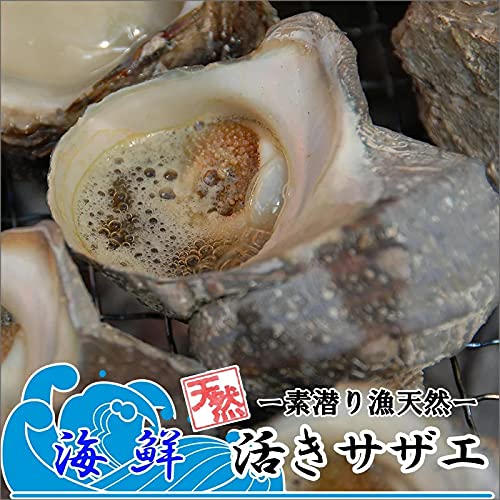 Amazon.co.jp: 【壺焼きBBQに】大分県産 活き サザエ 2kg 12-20
