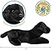 TigerHart Blythe The Black Lab - 12 Inch Stuffed Animal Plush
