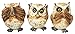 Ebros Ancient Transient Wisdom Of The Forest See Hear Speak No Evil Great Horned Owls Figurine Set Hoot Hoot Nocturnal Owl Decor Collectible Sculptures