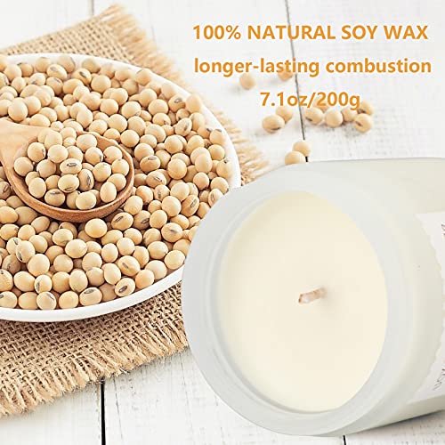 Scented Candles Gifts For Women, Cinnamon & Apple Candles For Home Decoration, Soy Wax Candles - 7 Oz 45 Hour Burn Time | Aromatherapy Candles Gifts For Valentines Day #TOP1